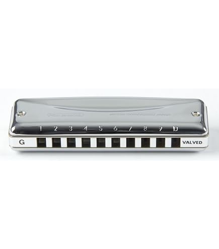 Amazon.com: Promaster Harmonica Key: C : Everything Else